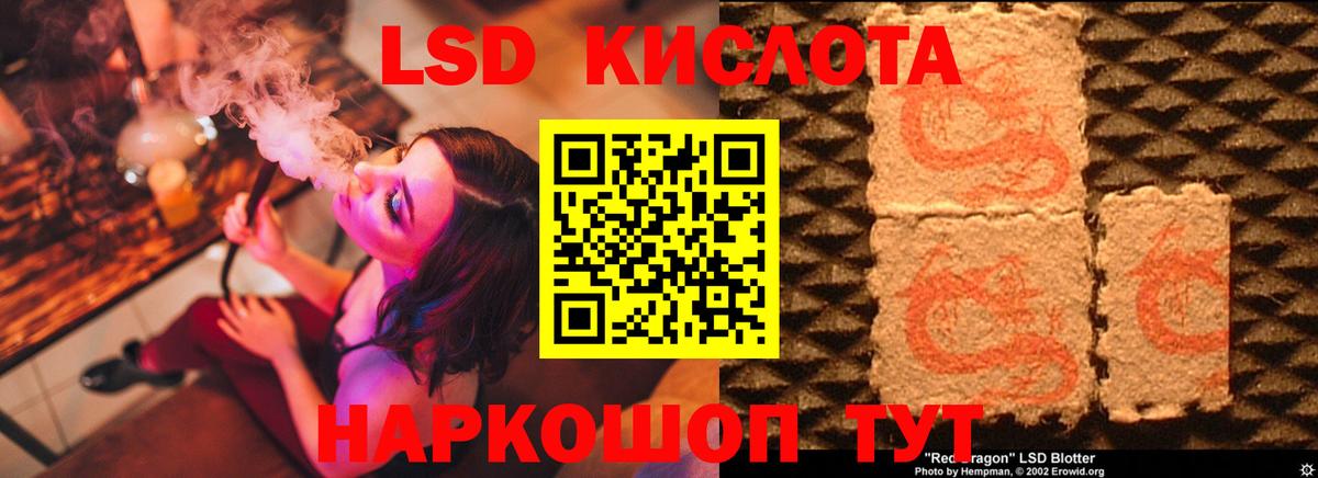 Новозыбков  ЛСД экстази кислота  LSD-25 экстази  Вход с VPN 
