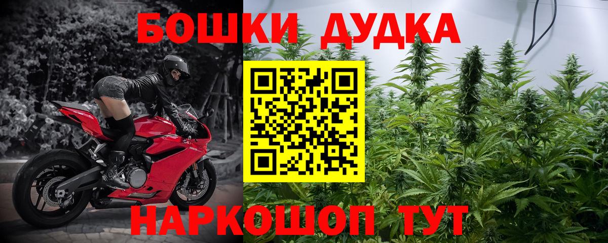 Новозыбков  Марихуана семена  Вход с VPN  Конопля планчик  Марихуана VHQ 